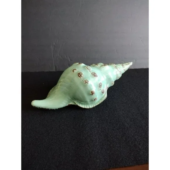Ceramic Seashell Glazed Conch Shell Beach Ocean 10" Sea Green Sculpture Figurine